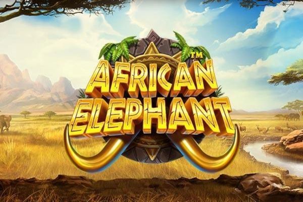 African Elephant cover