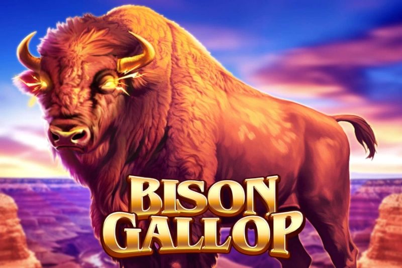 Bison Gallop cover