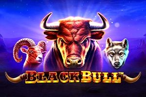 Black Bull cover