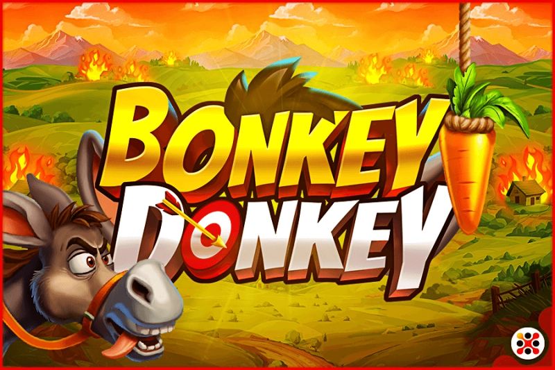 Bonkey Donkey cover