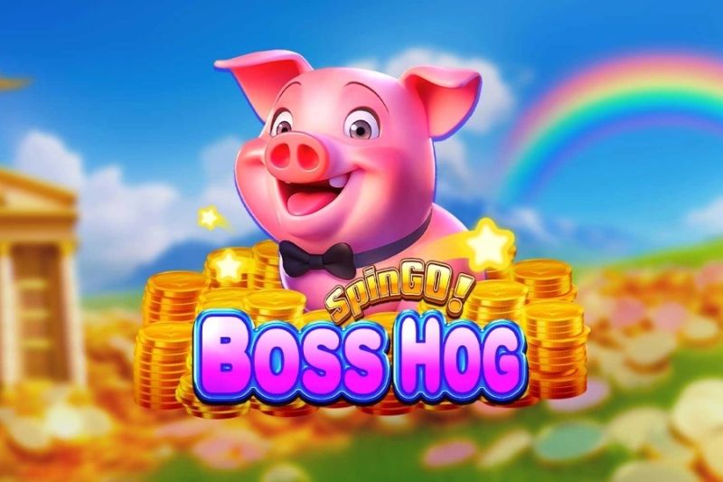 Boss Hog SpinGO! cover