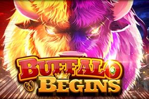 Buffalo Begins cover