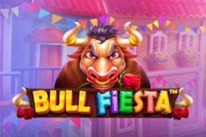Bull Fiesta cover