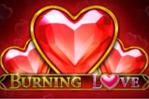 Burning Love cover