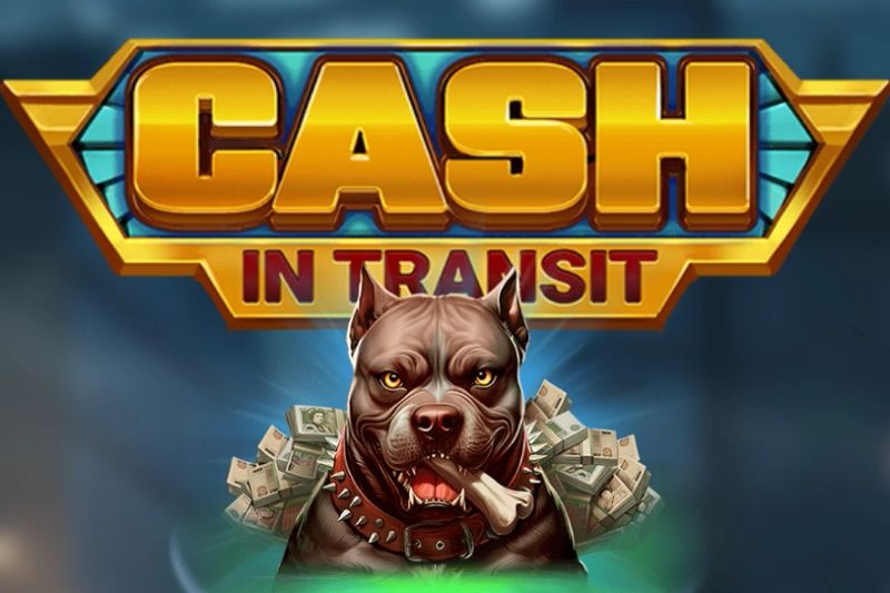 Cash in Transit cover