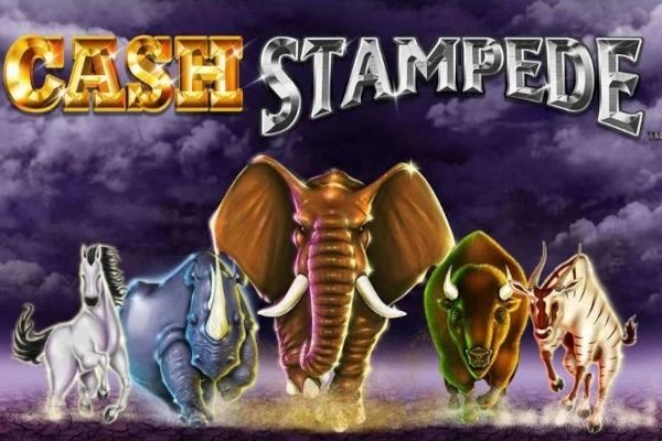 Cash Stampede cover
