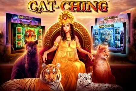 Cat-Ching cover