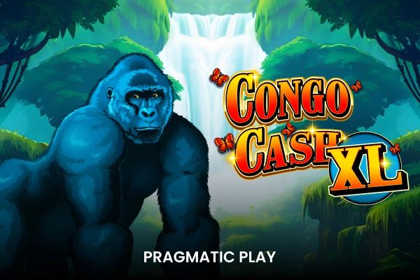 Congo Cash XL cover