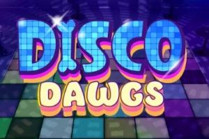 Disco Dawgs cover