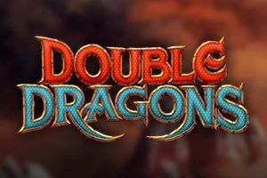 Double Dragons cover