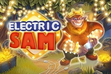 Electric Sam cover