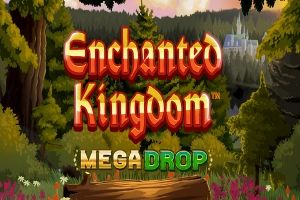 Enchanted Kingdom cover