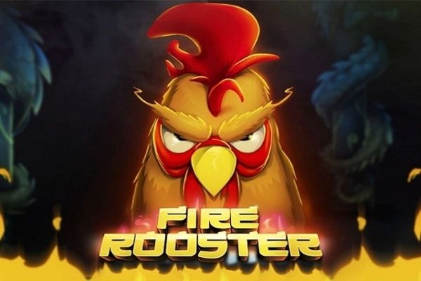Fire Rooster cover