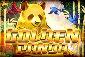 Golden Panda cover