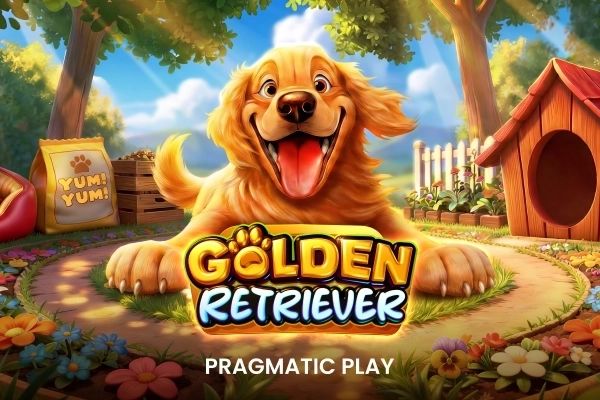 Golden Retriever cover