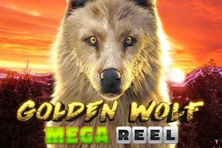 Golden Wolf Mega Reel cover