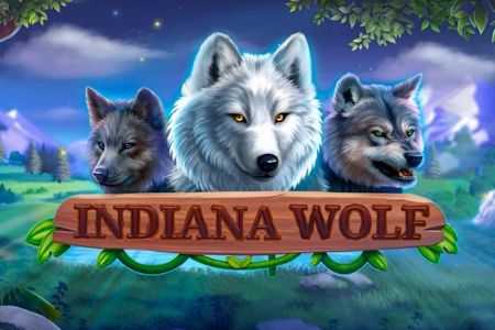 Indiana Wolf cover