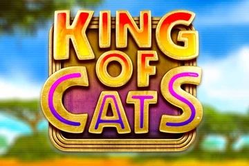 King of Cats cover
