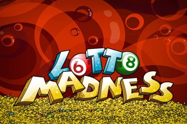 Lotto Madness cover