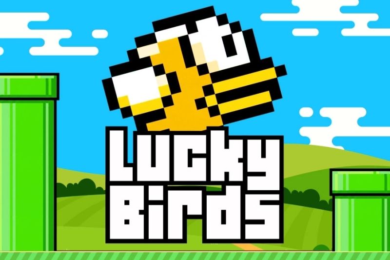 Lucky Birds cover