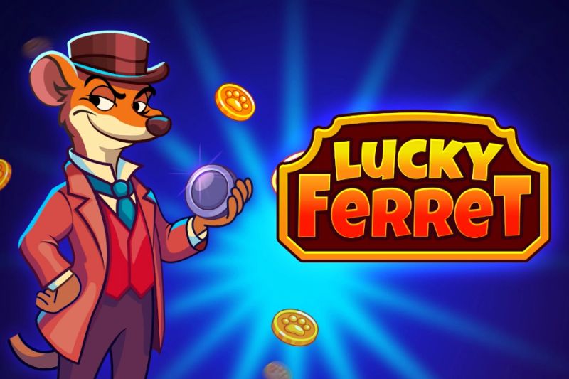 Lucky Ferret cover