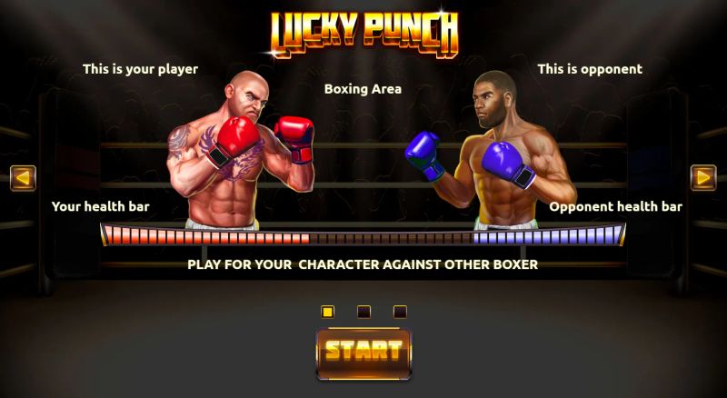 Lucky Punch cover