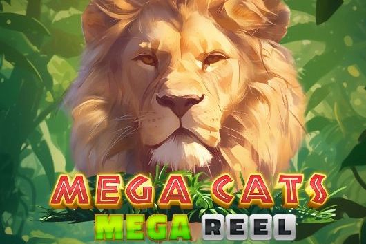 Mega Cats Mega Reel cover