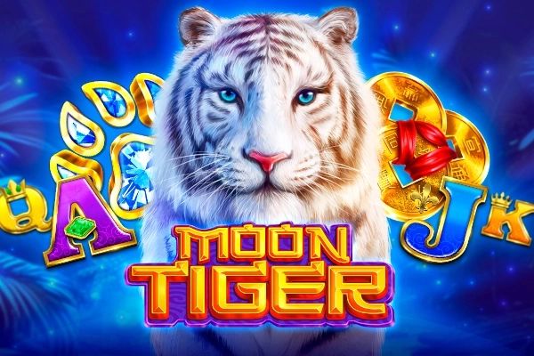 Moon Tiger cover