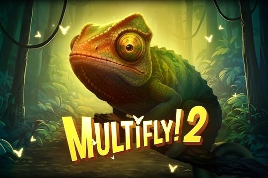 Multifly! 2 cover