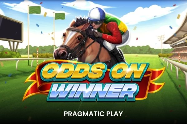 Odds On Winner cover