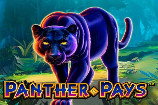 Panther Pays cover