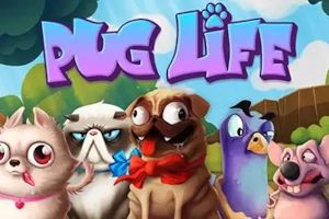 Pug Life cover
