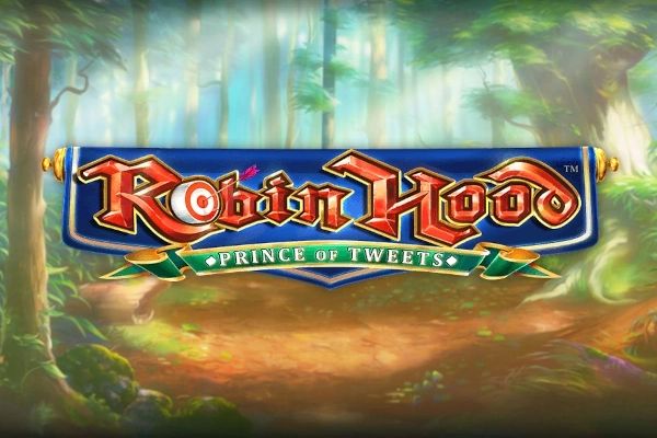 Robin Hood: Prince of Tweets cover