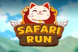 Safari Run cover