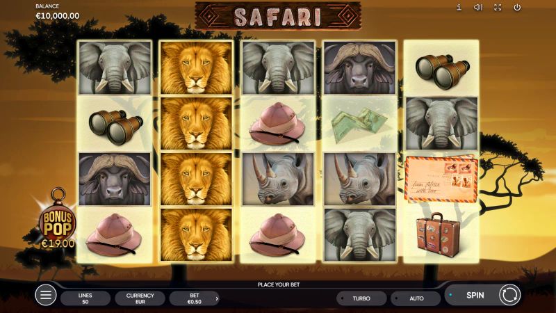 Safari cover