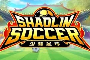 Shaolin Soccer cover