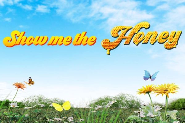 Show Me The Honey cover