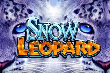 Snow Leopard cover