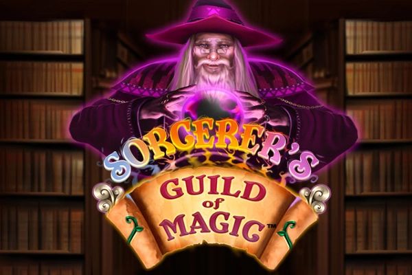 Sorcerer's Guild of Magic cover