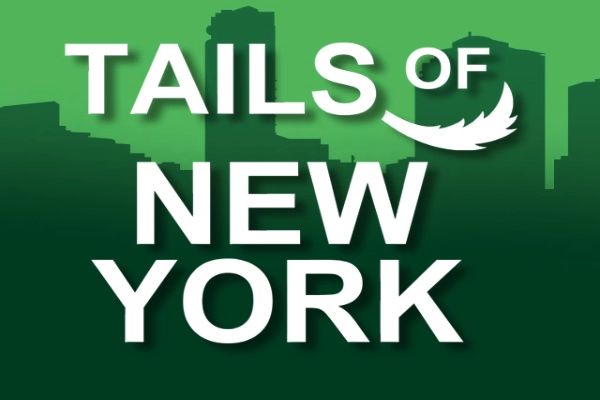 Tails Of New York cover