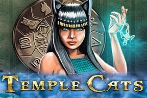 Temple Cats cover