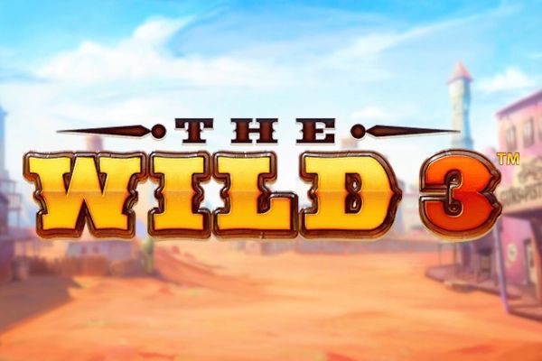 The Wild 3 cover