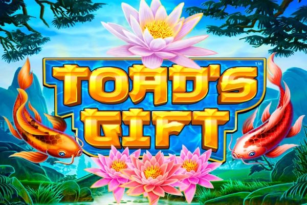 Toad's Gift cover