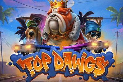 Top Dawg$ cover