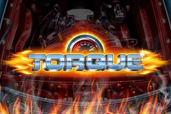 Torque cover