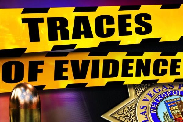 Traces Of Evidence cover