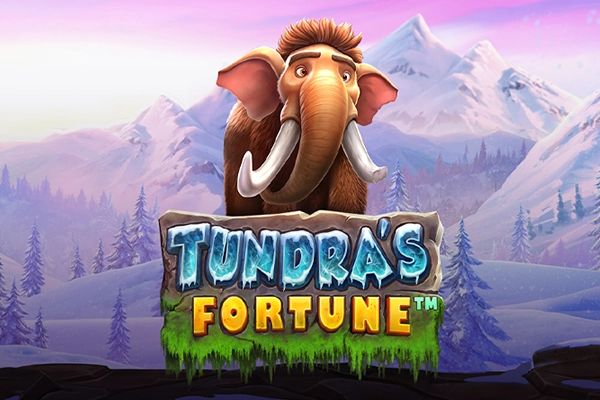 Tundra's Fortune cover