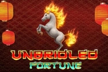 Unbridled Fortune cover