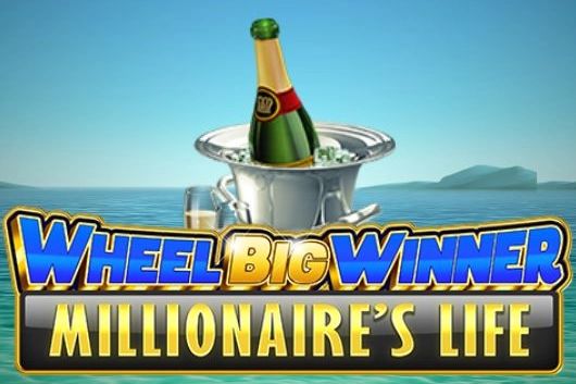 Wheel Big Winner Millionaire's Life cover