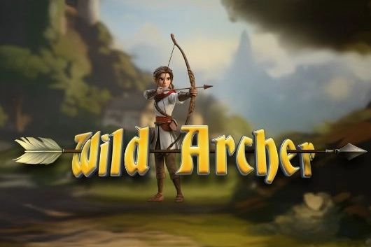 Wild Archer cover